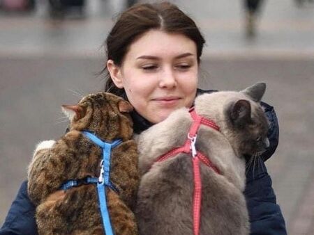 Докато някои мрънкат, други помагат с каквото могат: Ветеринар преглежда безплатно домашните любимци на украинците