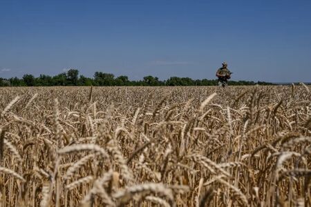 Абсурдът продължава: Западните политици изглежда умишлено търсят задълбочаване на кризата с храните