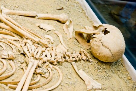 Намериха човешки кости и останки от ковчег при изкоп край строеж