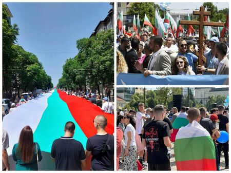 Хиляди се включиха в шествието на семейството в София, Кобрата - начело