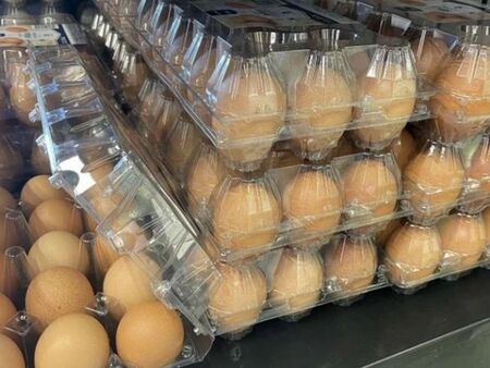 Яйцата от Украйна са евтини и подбиват пазара ни