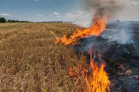 Причините за огнената стихия са в процес на установяване но