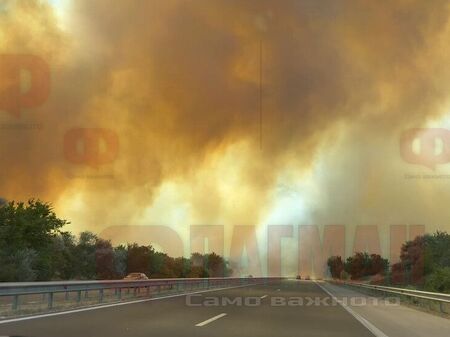 Огнен ад край Варна, затварят магистрала заради пожар