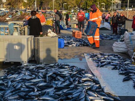 Жегата прогони рибата навътре в Черно море