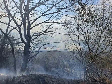 Пожарът край Пловдив е потушен