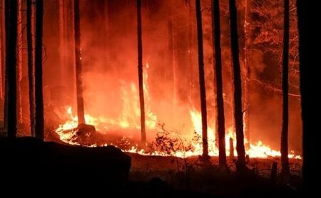 България иска помощ от ЕС заради пожара на границата с Гърция