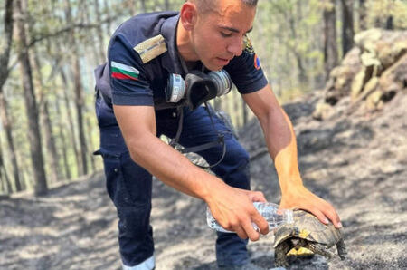 Запомнете тази снимка, говори много