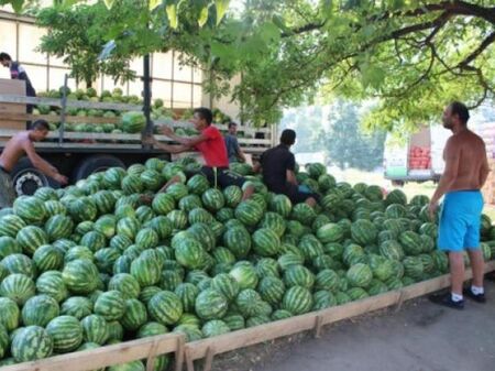 Защо няма вкусни дини на пазара през това лято