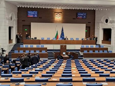 Парламентът се тресе от псувни и хомо атаки