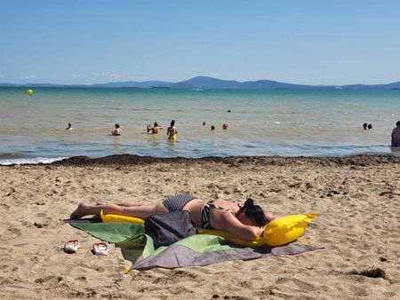 Мъртво вълнение и много водорасли по плажовете, но няма място за притеснения