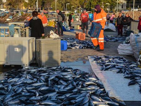 Грийнпийс иска да унищожи рибарството в Черно море