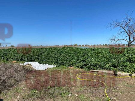 Вижте къде в Бургас да изкарате курс за оръжие или да постреляте за удоволствие