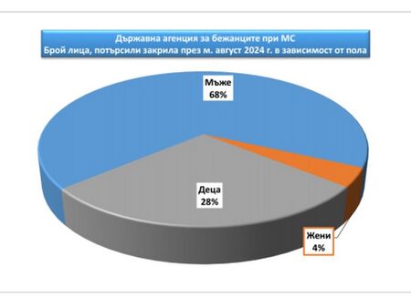 Не можем да се справим с тези у нас, а се задава нова мигрантска вълна