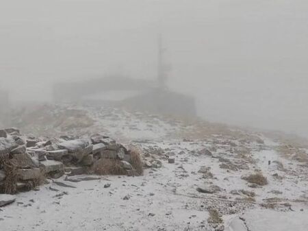 Съпругата на Пламен Бобоков блесна в галерията на Ники Младжов (СНИМКИ)