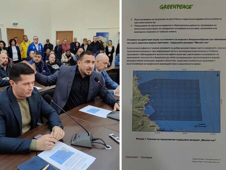 Greenpeace искат морски резерват в акваторията на Приморско, Созопол и Царево - местните са против (ВИДЕО)