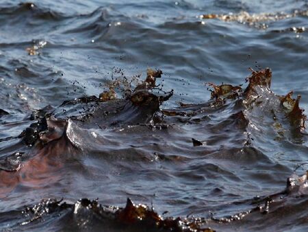 След разлива на мазут в Черно море: Русия обяви извъредно положение на федерално равнище