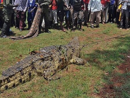 Съпругата на Пламен Бобоков блесна в галерията на Ники Младжов (СНИМКИ)