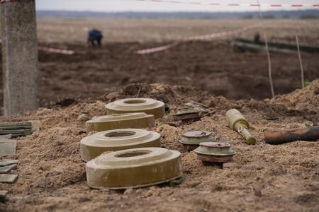 Полша и балтийските държави настояха за оттегляне от Конвенцията за противопехотните мини