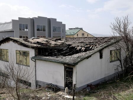 Съпругата на Пламен Бобоков блесна в галерията на Ники Младжов (СНИМКИ)