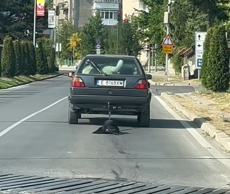Вижте къде в Бургас да изкарате курс за оръжие или да постреляте за удоволствие